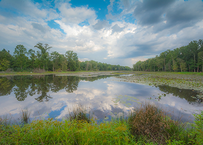 Beaver Pond, photo by Tim Ray
