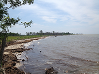 Deal Island Shoreline erosion